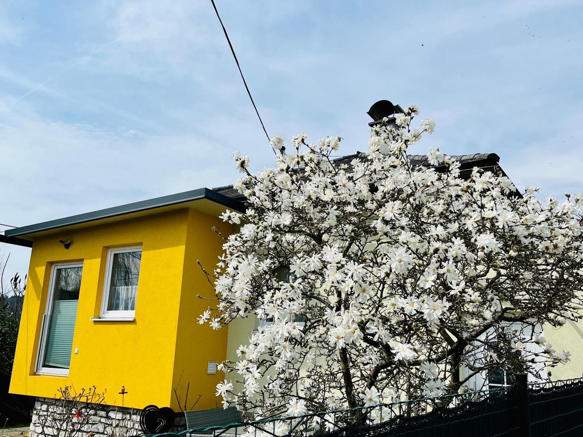 Ferienhaus Sausalblick Grossklein Exterior foto